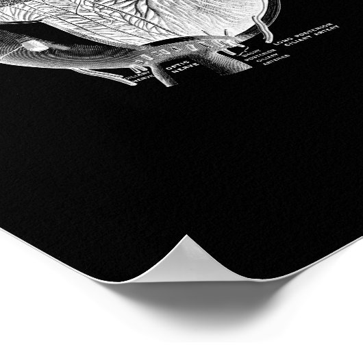 Human Eye Anatomy in Black and White print. Poster (Ecke)