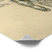 Human Foot Anatomy 1902 Vintag Print Poster (Ecke)