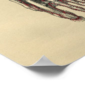 Human Foot Anatomy 1902 Vintag Print Poster (Ecke)