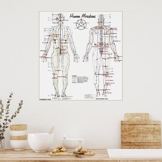 Human Meridians & Prespoint Chart Poster (Küche)