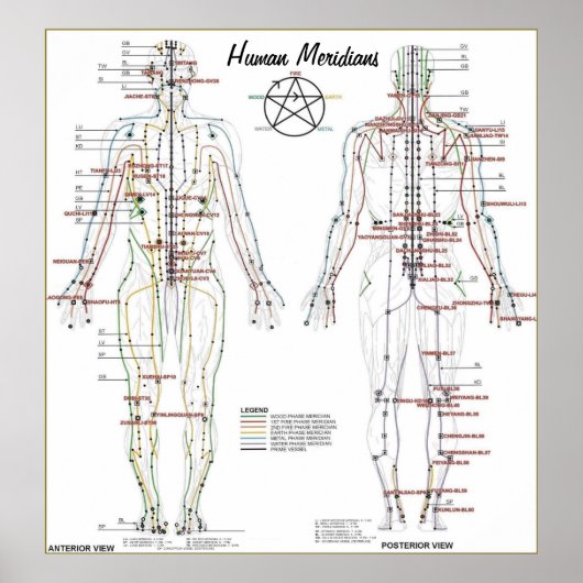Human Meridians & Prespoint Chart Poster (Vorne)