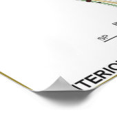 Human Meridians & Prespoint Chart Poster (Ecke)