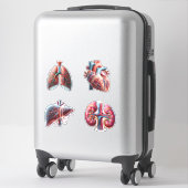 Human Organs 4 Pack Stickers Aufkleber (Koffer)