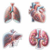 Human Organs 4 Pack Stickers Aufkleber (Vorderseite)