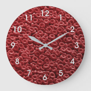 HUMAN RED BLOOD CELLS GROßE WANDUHR