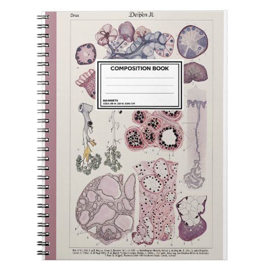 Human Tissue Histology Atlas Notebook Notizblock (Vorderseite)