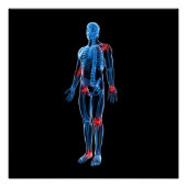 Human Xray Poster (Vorderseite)