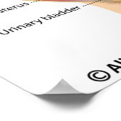 Humaner Fötus in geburtsbeschriftetem Poster (Ecke)