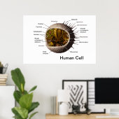 Humanzellenposter Poster (Heimbüro)