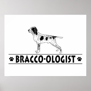 Humaufgeführt Bracco Italiano Poster