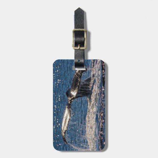 Humback Wal-Gepäck-Umbau - Schwanz-Plattfisch Gepäckanhänger (Vorderseite vertikal)