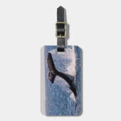 Humback Wal-Gepäck-Umbau - Schwanz-Plattfisch Gepäckanhänger (Vorderseite vertikal)