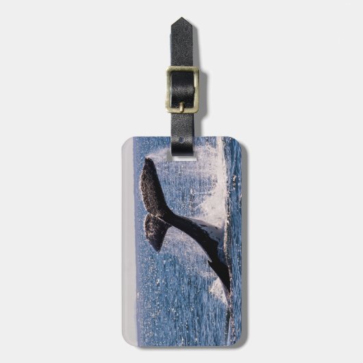 Humback Wal-Gepäck-Umbau - Schwanz-Plattfisch Gepäckanhänger (Vorderseite vertikal)