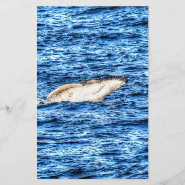 HUMBACK WHALE QUEENSLAND AUSTRALIA (Vorderseite)