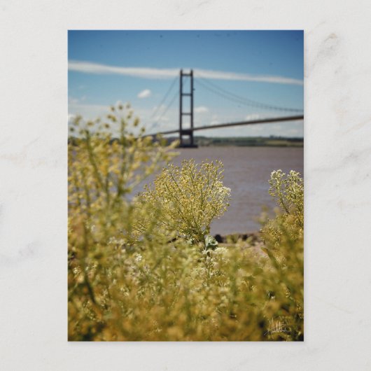 Humber Bridge in the Sun [Postcard] Postkarte (Vorderseite)