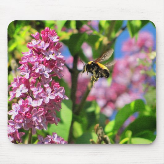 Humble Bee Landning on Lilacs Mousepad (Vorne)