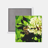 Humble Bee Magnet (Vorderseite/Rückseite)