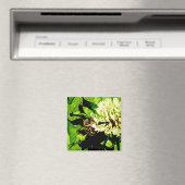 Humble Bee Magnet (In Situ (Geschirrspüler))