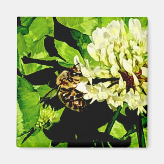 Humble Bee Magnet (Vorne)