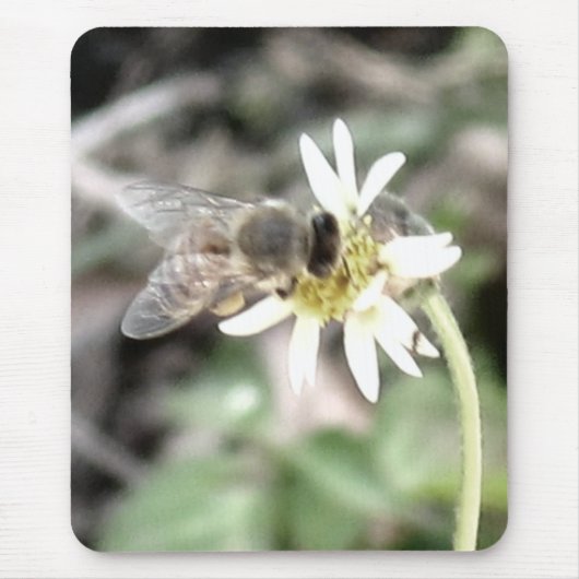 Humble Bee Mousepad (Vorne)