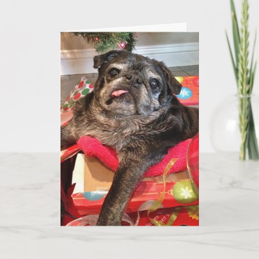 Humblone Weihnachtskarte Feiertagskarte (Vorderseite)