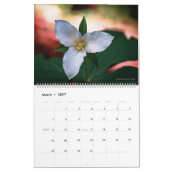 Humboldt 2022 Wall Calendar Kalender (Mär 2027)