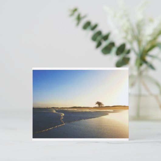 Humboldt Bay Eureka Ca. 2 Postkarte (Stehend Vorderseite)