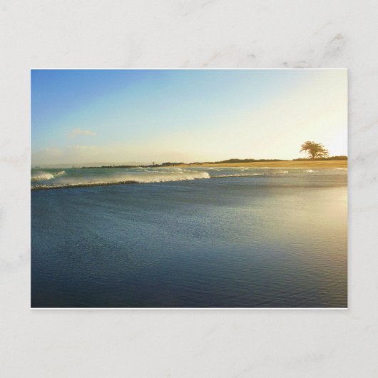 Humboldt Bay, Eureka, Ca. Postkarte (Vorderseite)