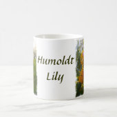 Humboldt Lilies Sunburst auf Weiß Kaffeetasse (Mittel)