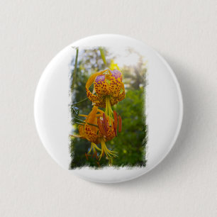 Humboldt Lilies Sunburst Button