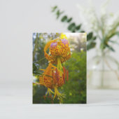 Humboldt Lilies Sunburst Postkarte (Stehend Vorderseite)