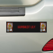 Humboldt Lily Autoaufkleber (Auf Auto)
