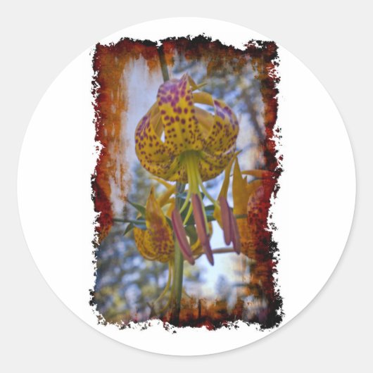 Humboldt Lily Runder Aufkleber (Vorderseite)