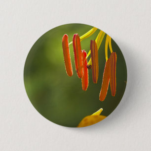 Humboldt Lily Stamens Button