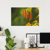 Humboldt Lily Stamens Poster (Heimbüro)