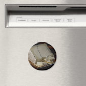Humboldt-Nebenkäse Magnet (In Situ (Geschirrspüler))
