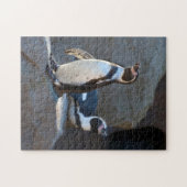 Humboldt Penguin Jigsaw-Puzzle Puzzle (Horizontal)