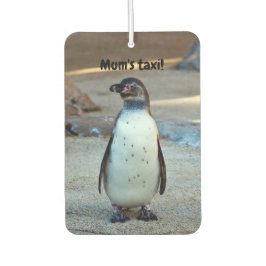 Humboldt Penguin Lufterfrischer für Autos