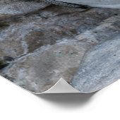 Humboldt Penguin Poster (Ecke)