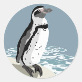 Humboldt Penguin Stickers (Vorderseite)