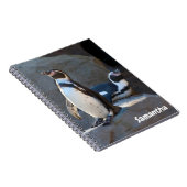 Humboldt Penguins Spiralnotebook Notizblock (Rechte Seite)