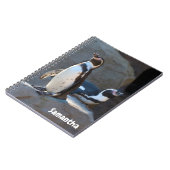 Humboldt Penguins Spiralnotebook Notizblock (Linke Seite)
