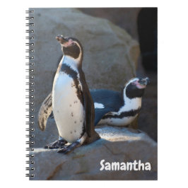 Humboldt Penguins Spiralnotebook Notizblock
