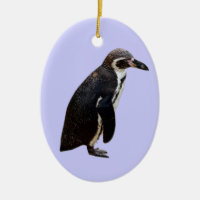 Humboldt-Pinguin, der hängende Verzierung hängt