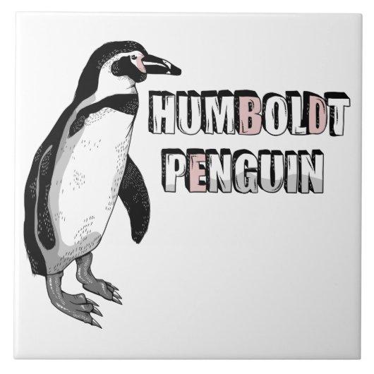 Humboldt-Pinguin Fliese (Vorderseite)