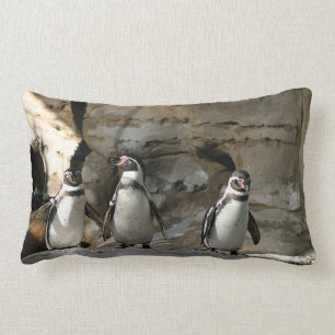 Humboldt-Pinguin Lendenkissen