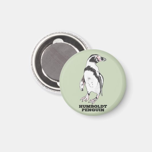 Humboldt-Pinguin Magnet (Vorderseite/Rückseite)