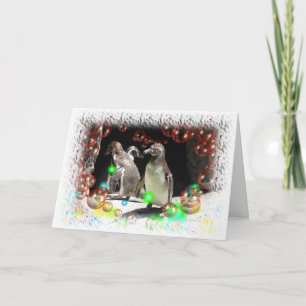 Humboldt-Pinguin-Party Karte