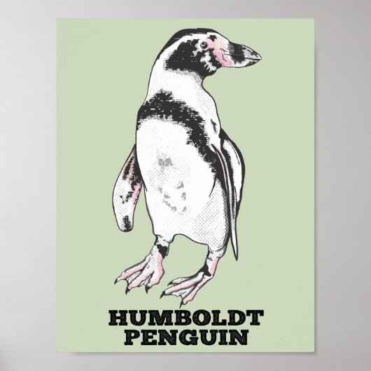 Humboldt-Pinguin Poster (Vorne)