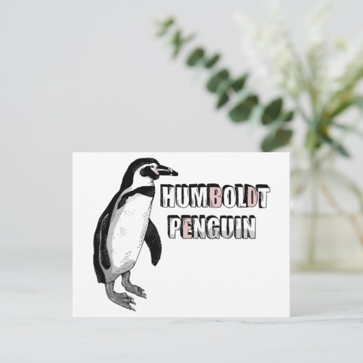 Humboldt-Pinguin Postkarte (Stehend Vorderseite)